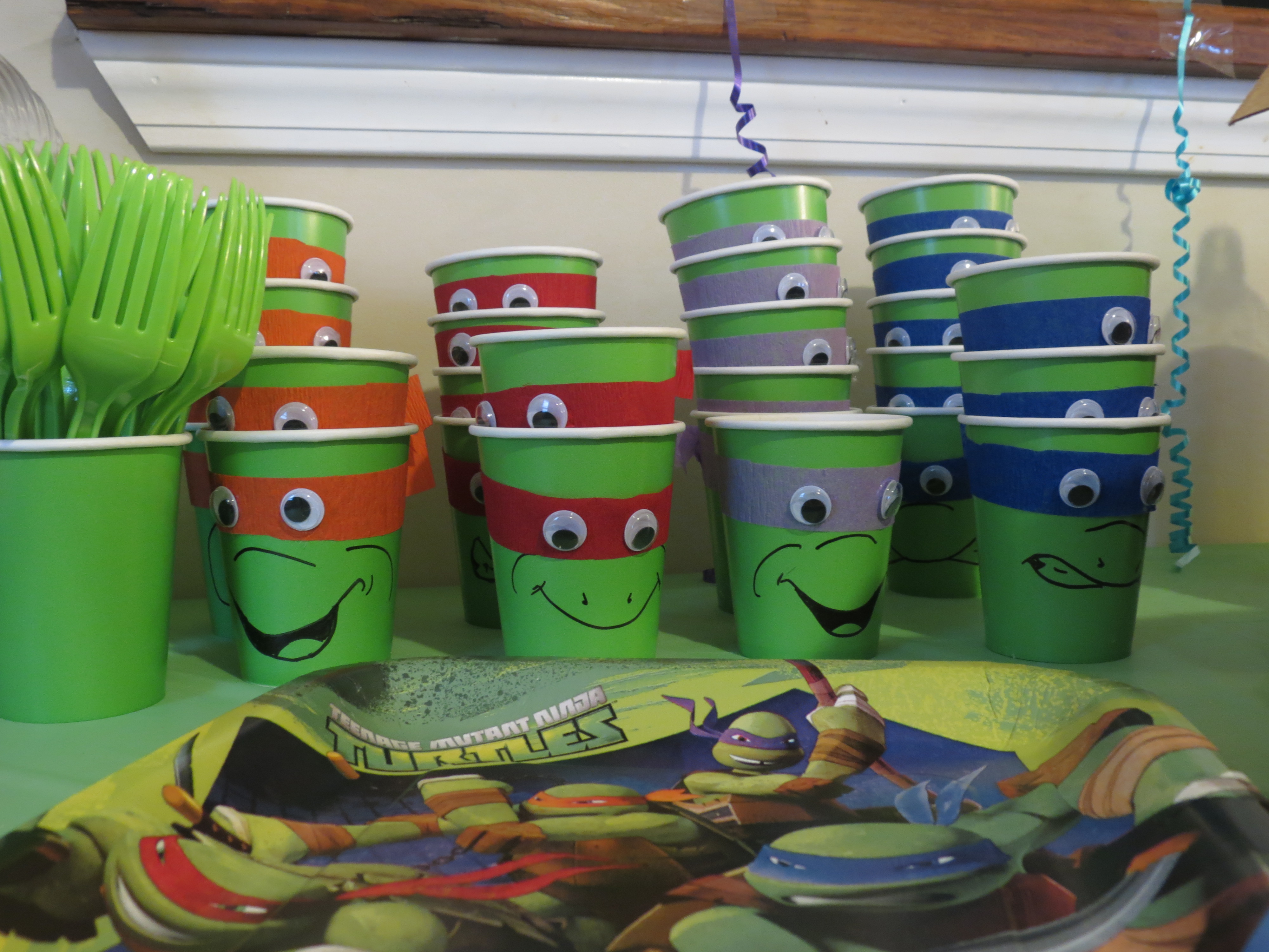 Ninja Turtle Party